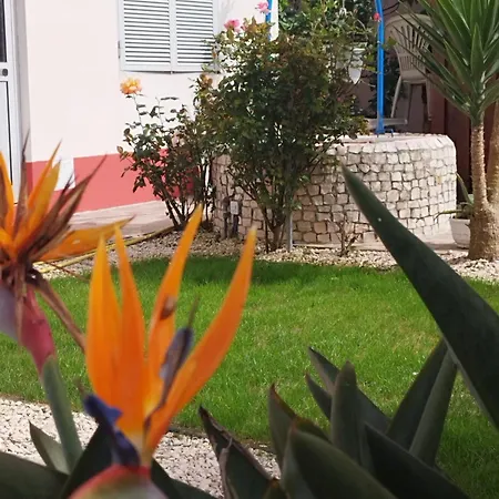 בית אירוח Ranch Lau&ri Nazare Cela Velha