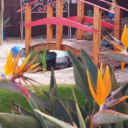 Habitación en casa particular Ranch Lau&ri Nazaré